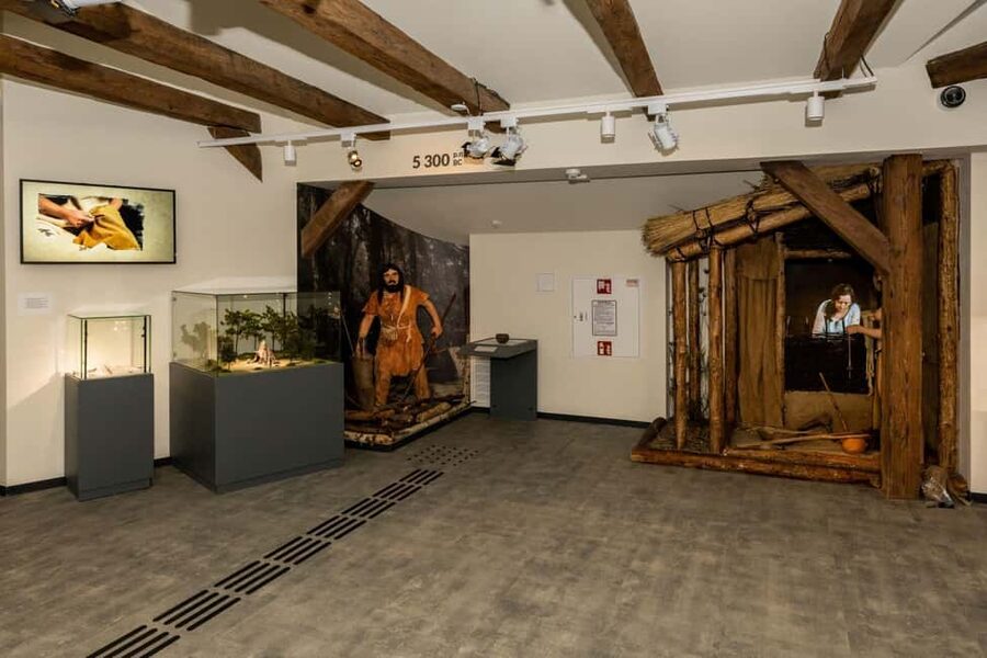 Archaeological Museum of Krakow Entrance Ticket - Two branches in Krakow: St. Wojciech underground and Nowa Huta-Branice