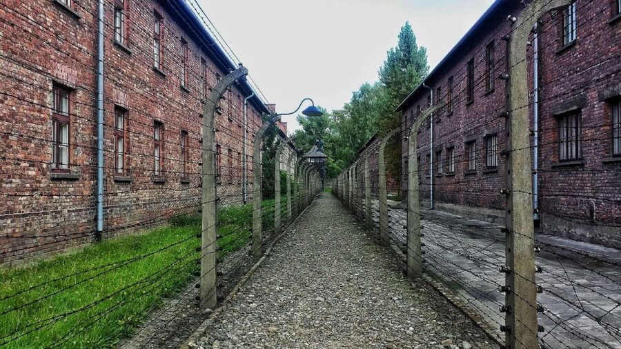 Auschwitz-Birkenau and Krakow Private Car Trip from Katowice - Krakow Old Town in the 12-hour option: Royal Route highlights