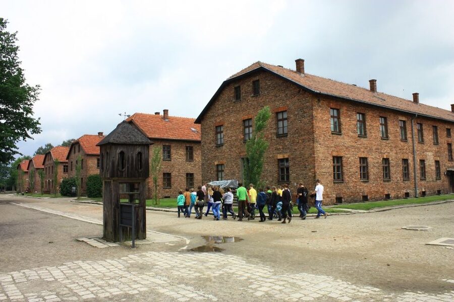 Auschwitz-Birkenau and Krakow Private Car Trip from Katowice - Value check: what $281 per person buys you