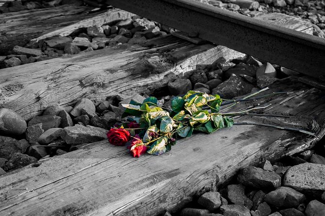 Auschwitz Birkenau and Salt Mine Full Day Guided Tour from Krakow hotel pick up - Documentary and ride-time context on the way there