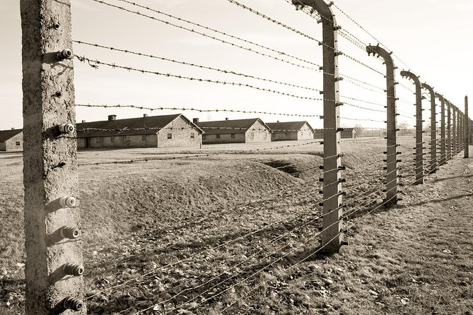 Auschwitz- Birkenau and Wieliczka Salt Mine in One Day - Transport, Group Size, and Why Your Comfort Impacts the Whole Day