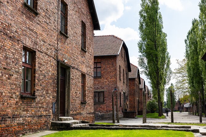 Auschwitz-Birkenau: Day Trip & Transfer from Kraków - What to bring and how to handle the walking, rain, and security checks