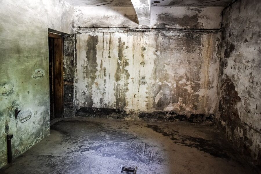 Auschwitz-Birkenau: Entrance Ticket and Live Tour Guide - Key Points That Matter Before You Go
