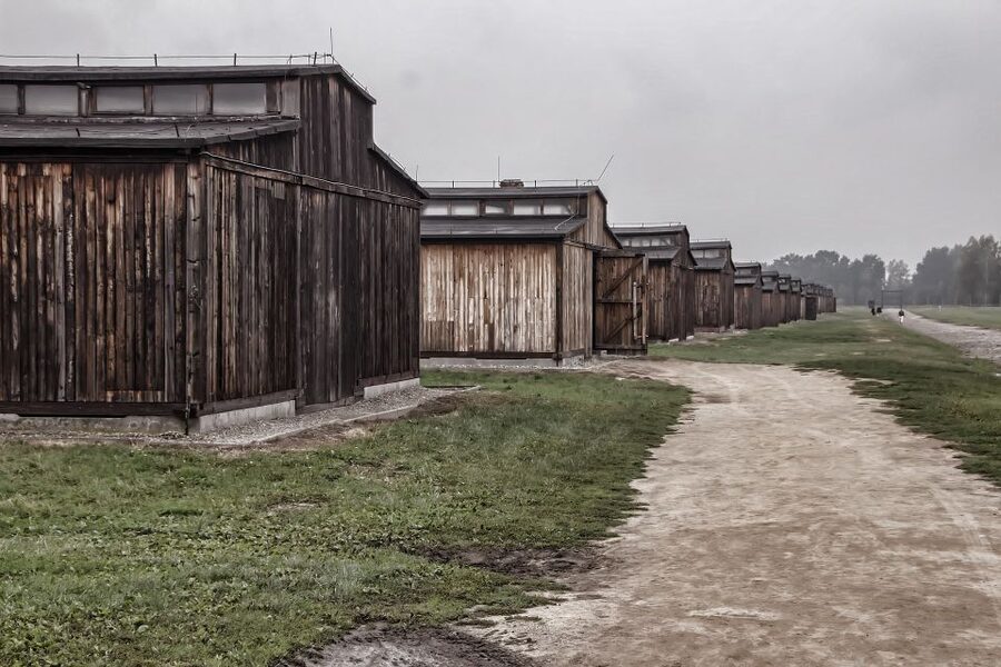 Auschwitz-Birkenau: Entrance Ticket and Live Tour Guide - Auschwitz-Birkenau in 3.5 Hours, What You Actually See