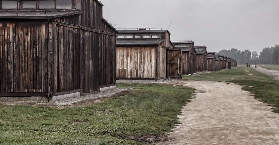 Auschwitz-Birkenau: Entrance Ticket and Live Tour Guide - Auschwitz I First, Barracks, Watchtowers, and Crematoriums