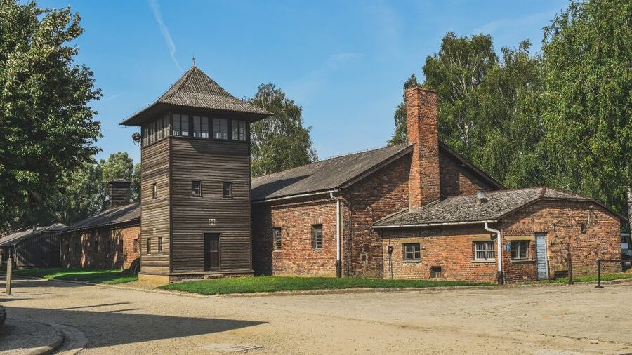 Auschwitz-Birkenau: Entrance Ticket and Live Tour Guide - Price and Value: Is $47 Worth It Here?
