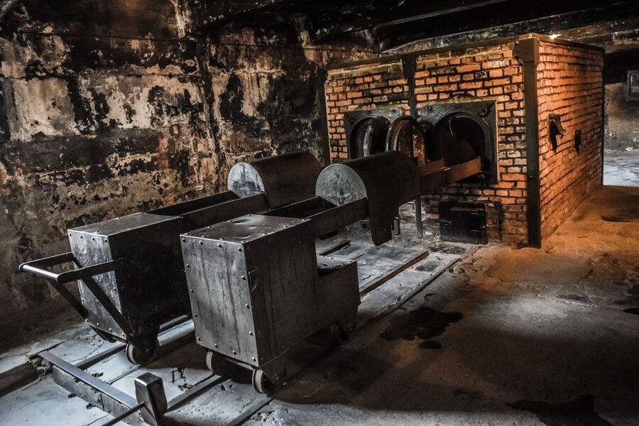 Auschwitz-Birkenau: Entrance Ticket and Live Tour Guide - Meeting Point at Auschwitz I, How Entry Can Feel Easier