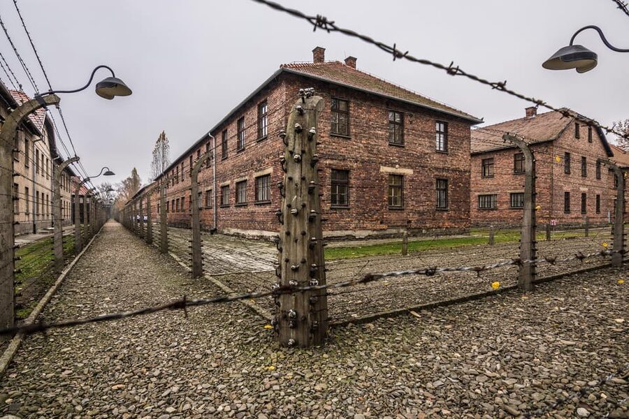 Auschwitz-Birkenau: Guided Tour and Skip-The-Line Ticket - Price and value: why the guide matters more than the ticket cost