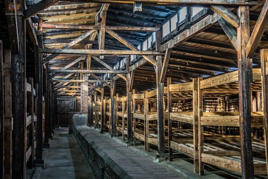 Auschwitz-Birkenau: Guided Tour and Skip-The-Line Ticket - Practical stuff that can save your day