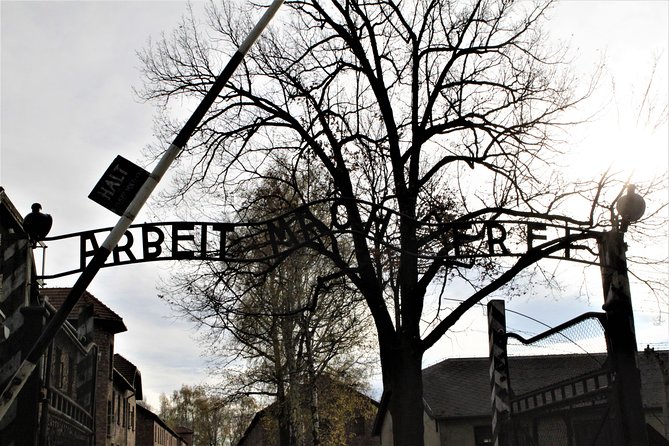Auschwitz-Birkenau Guided Tour by Private Transport from Krakow - Group size and pacing: why you might feel rushed, and when that is okay
