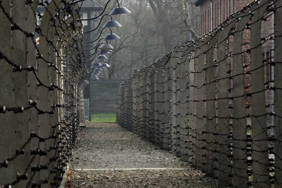 Auschwitz-Birkenau Guided Tour & Transfer from Krakow - Key highlights worth knowing first