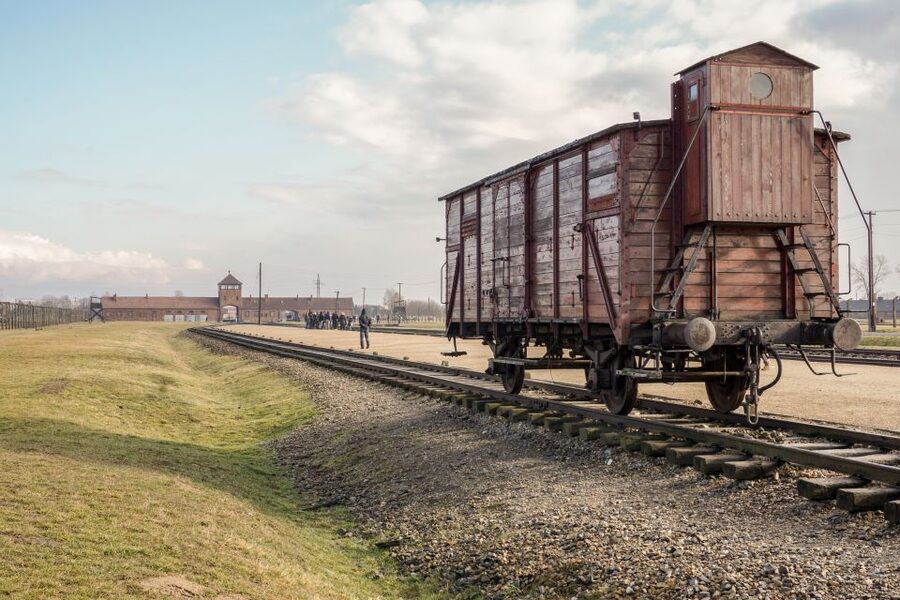 Auschwitz-Birkenau Guided Tour & Transfer from Krakow - Breaks, coffee, and the small window for shopping