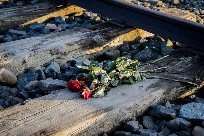 Auschwitz Birkenau Guided Tour with Ticket Hotel Pickup Small Van - Lunch plans for a full, heavy day