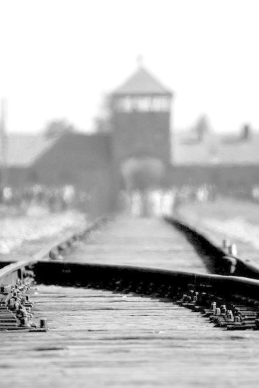 Auschwitz-Birkenau: Memorial Entry Ticket and Guided Tour - Price and value of the $55 skip-the-line guided tour
