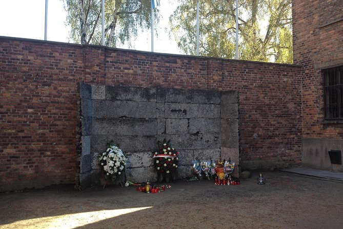 Auschwitz-Birkenau Museum and Memorial Guided Tour from Krakow - Price and value: what $83.44 buys you in the real world