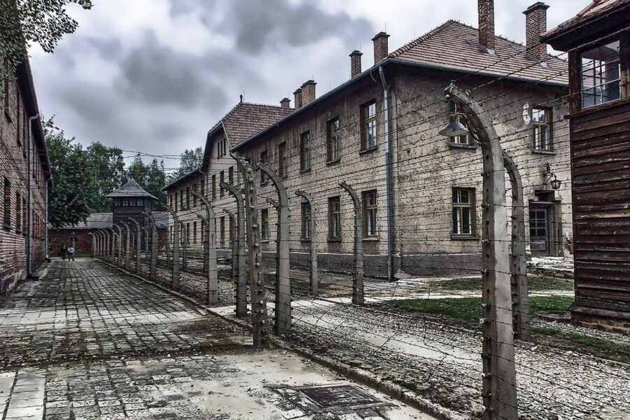 Auschwitz-Birkenau: Museum Entry Ticket with Guided Tour - Auschwitz II-Birkenau: the railway and the scale of atrocity