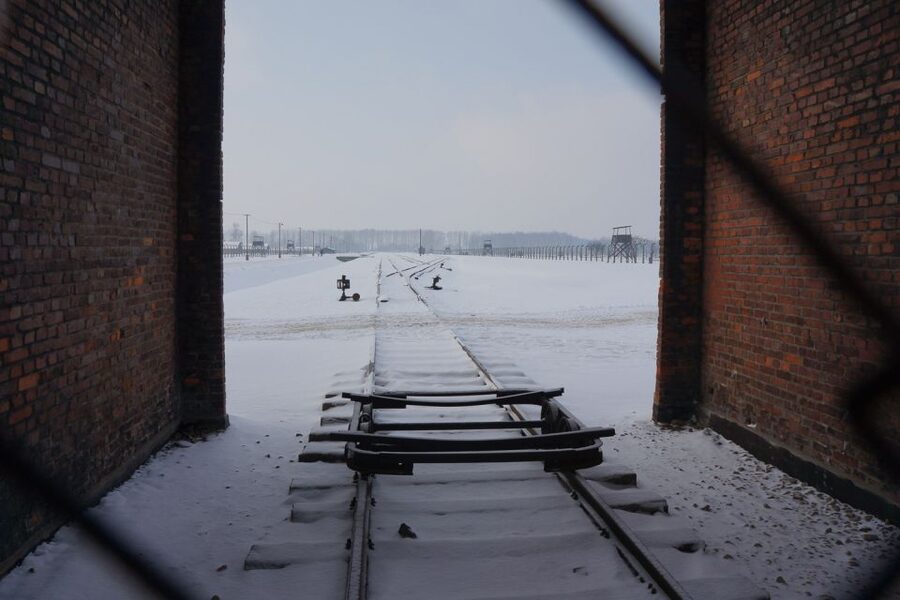 Auschwitz-Birkenau: Museum Entry Ticket with Guided Tour - Price and value: what $52 buys you in a place like this
