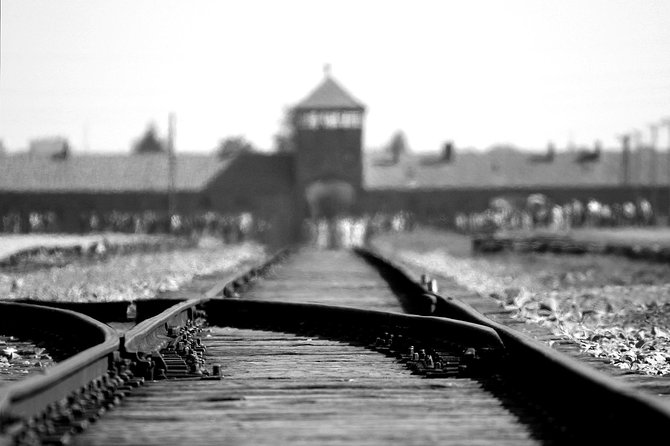 Auschwitz-Birkenau Museum Tour from Krakow - Who should book this Auschwitz-Birkenau tour, and who should skip it