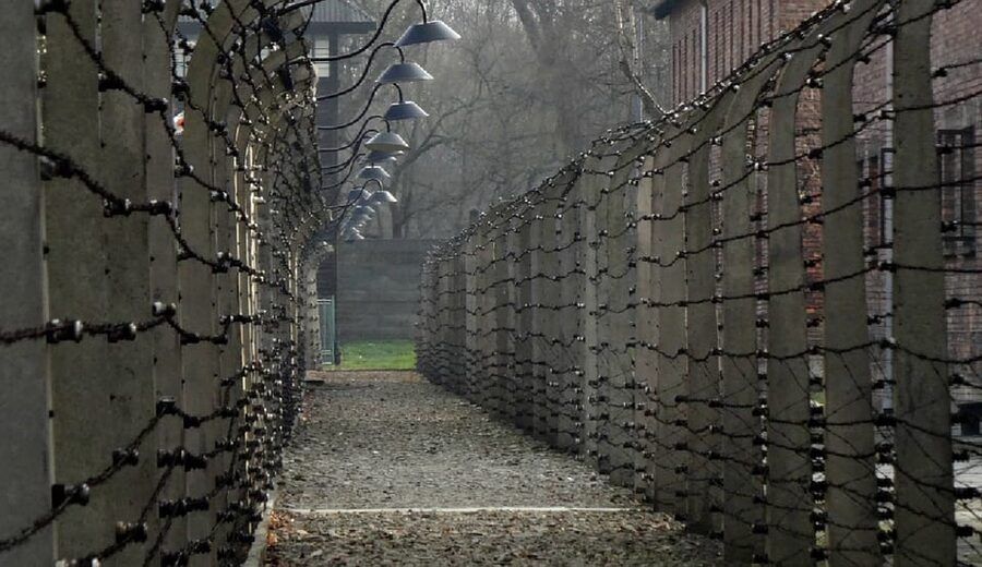 Auschwitz-Birkenau & Salt Mine Tour in One Day from Krakow - Wieliczka Salt Mine: Steps, Sculptures, and the 14 to 15 C Reality Check