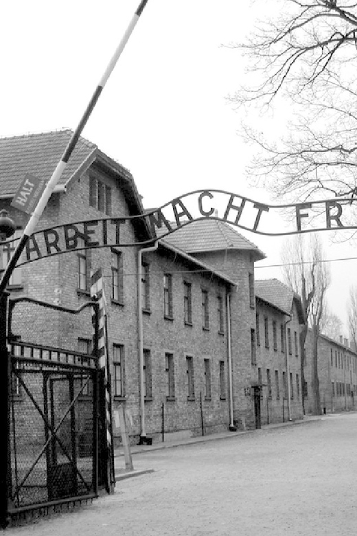 Auschwitz-Birkenau & Salt Mine Tour in One Day from Krakow - Timing and Tour Rhythm: Why 11 to 12 Hours Feels Longer Than You Think