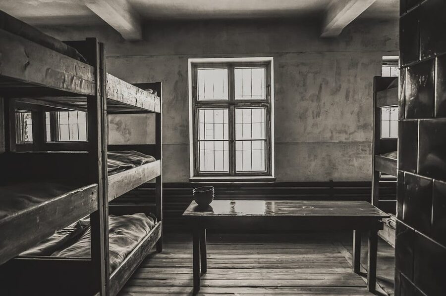 Auschwitz-Birkenau & Salt Mine Tour in One Day from Krakow - Auschwitz-Birkenau: What You’ll See, and How to Get the Most Out of the Visit