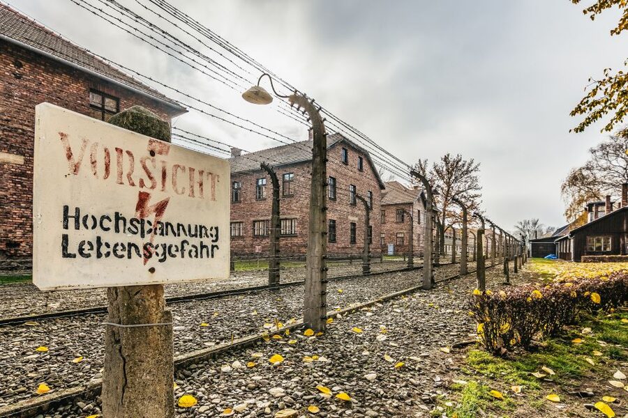 Auschwitz-Birkenau: Skip-the-Line Entry Ticket & Guided Tour - Key things to know before you go