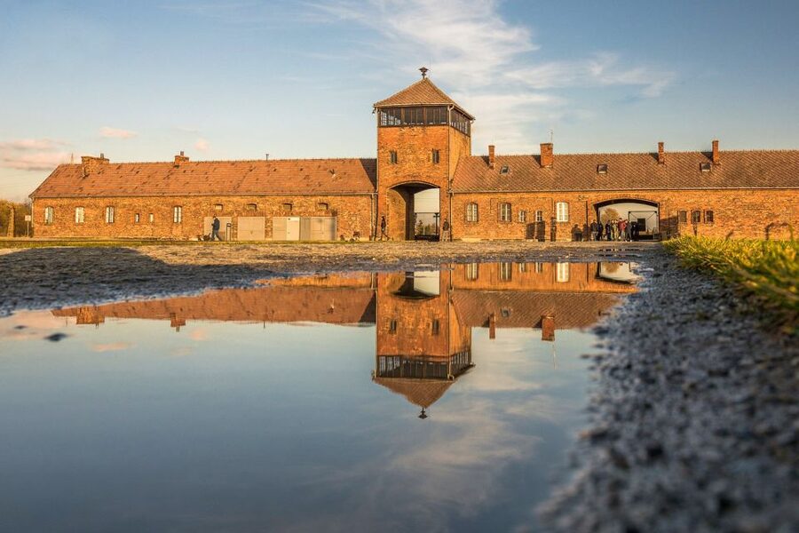 Auschwitz-Birkenau: Skip-the-Line Entry Ticket & Guided Tour - The guides people rave about, and what that says about your expectations
