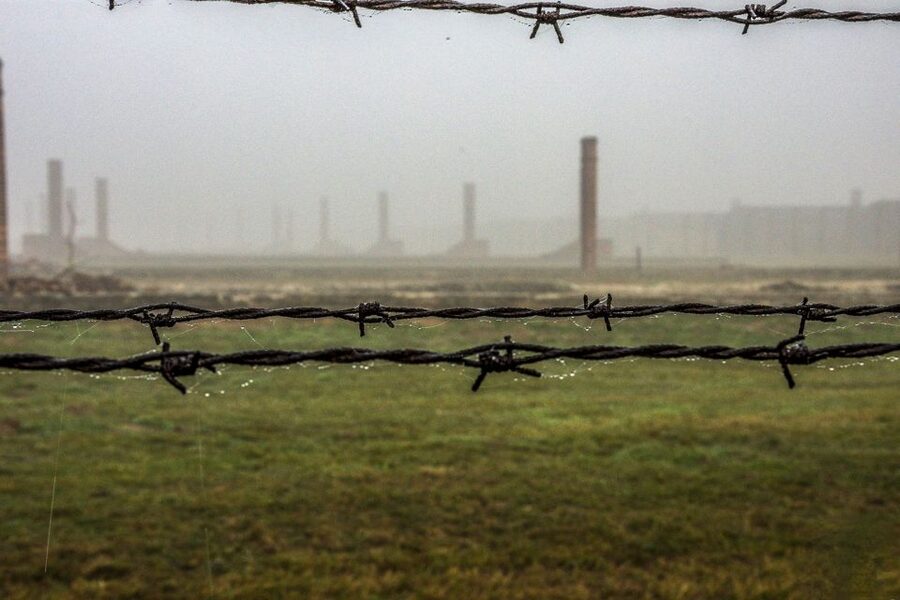 Auschwitz-Birkenau: Skip-the-Line Entry Ticket & Guided Tour - Why the museum licensed guide matters at Auschwitz-Birkenau