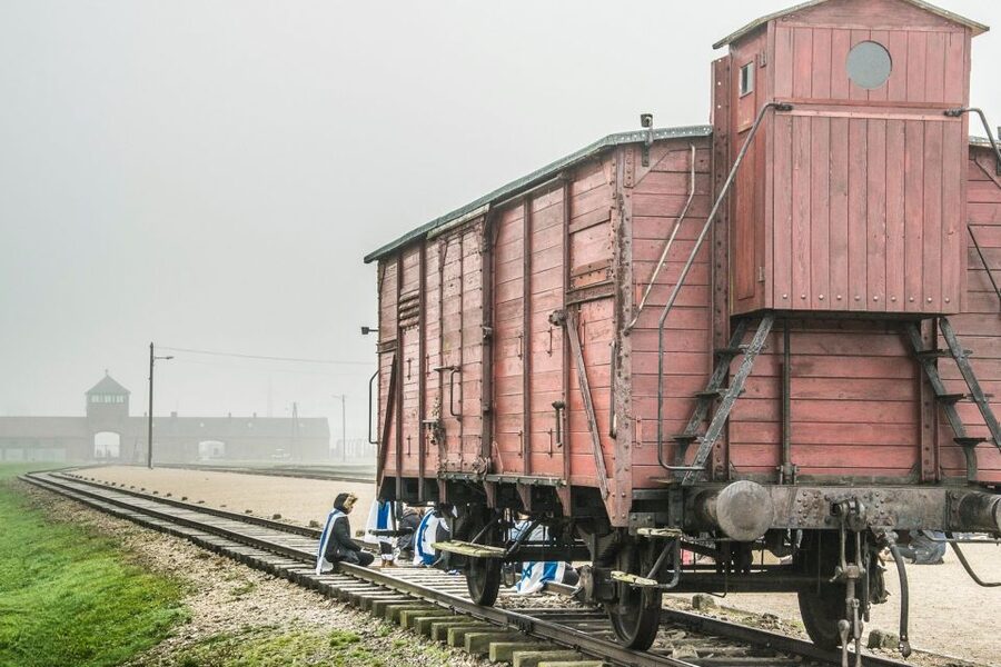 Auschwitz-Birkenau: Skip-the-Line Entry Ticket & Guided Tour - Entering through the main gate, and why the first minutes count