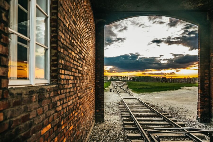 Auschwitz-Birkenau: Skip-the-Line Entry Ticket & Guided Tour - Birkenau (Auschwitz II): barracks, ruins, and the overwhelming scale