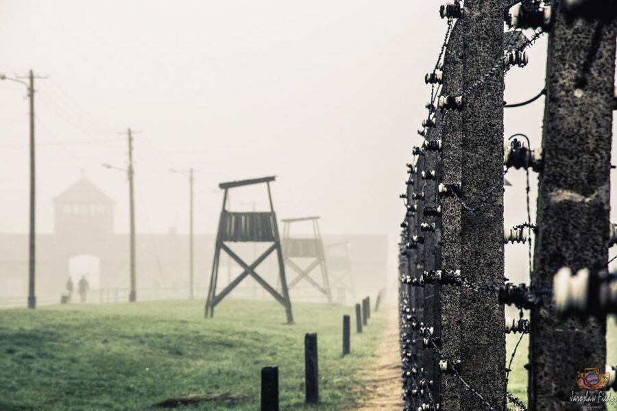 Auschwitz-Birkenau: Skip-the-Line Entry Ticket & Guided Tour - What to bring, what not to bring, and how to dress