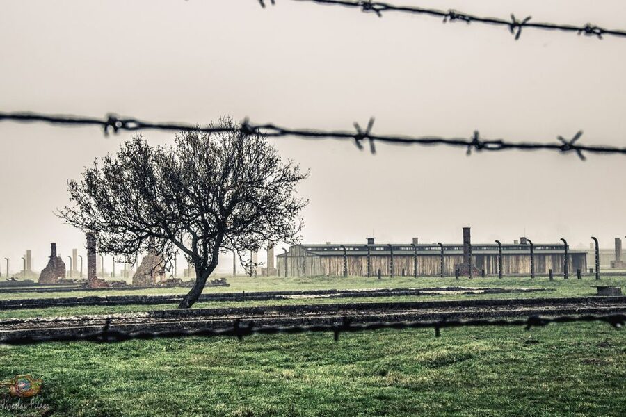 Auschwitz-Birkenau: Skip-the-Line Entry Ticket & Guided Tour - Timing that shapes your day, from security to Birkenau