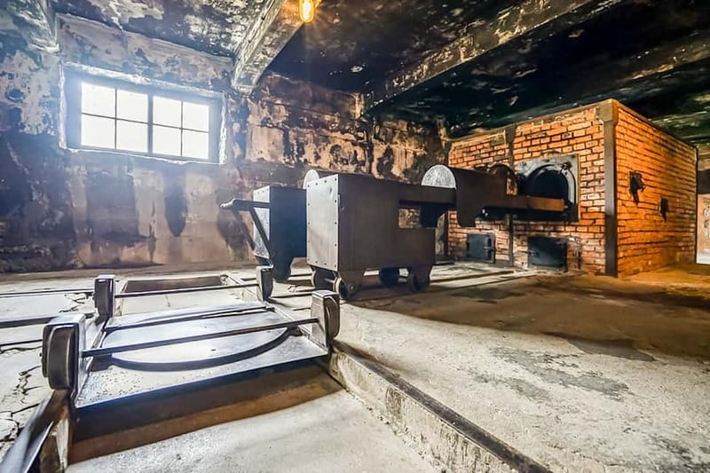 Auschwitz-Birkenau Skip-the-Line Guided Tour - Key things to know before you go