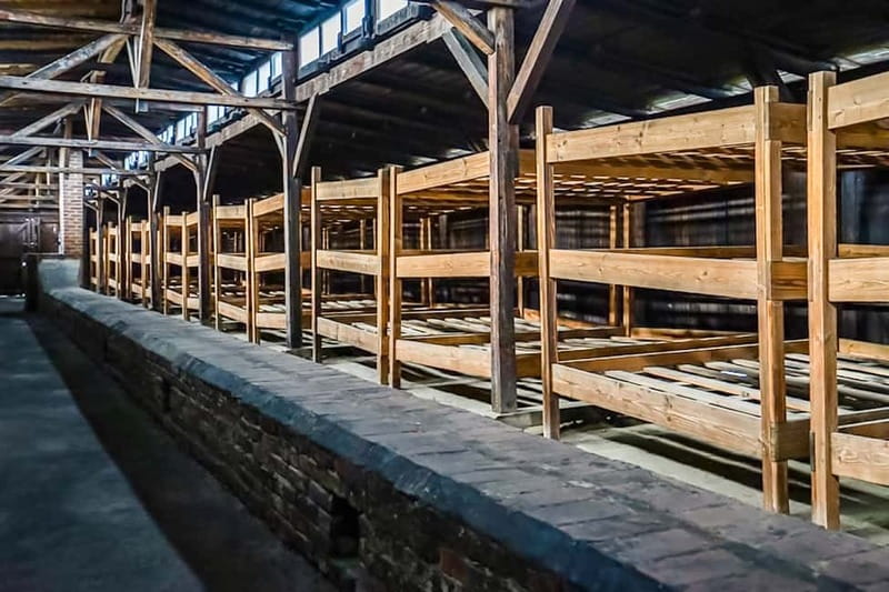 Auschwitz-Birkenau Skip-the-Line Guided Tour - Auschwitz I and Birkenau in one half-day: what this tour really covers