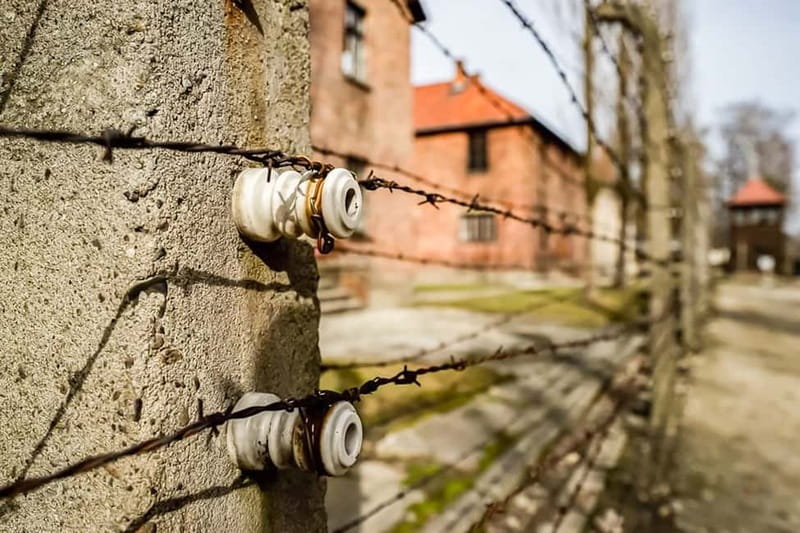 Auschwitz-Birkenau Skip-the-Line Guided Tour - Headsets, group flow, and the pace you should expect