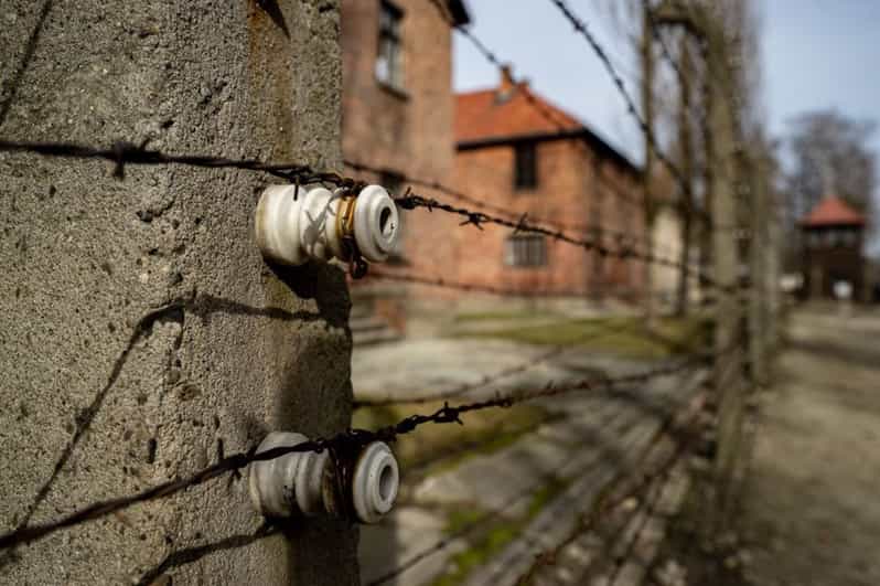 Auschwitz-Birkenau Skip-the-Line Ticket and Guided Tour - Skip-the-Line Tickets at Auschwitz-Birkenau, What You Actually Save