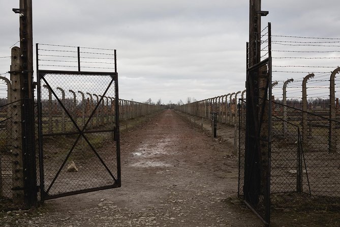 Auschwitz-Birkenau & Wieliczka in one day (Guided tour) - Wieliczka Salt Mine: Hundreds of Steps, Salt Sculptures, and Saline Lakes