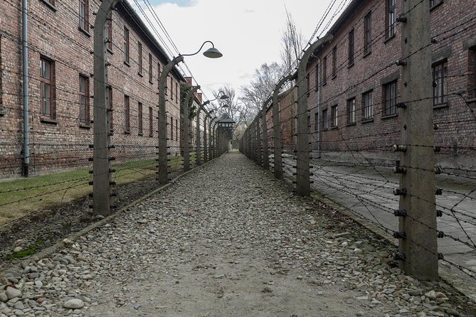 Auschwitz-Birkenau & Wieliczka in one day (Guided tour) - The Driver and Guide Factor: Where This Tour Gets Its Good Reviews