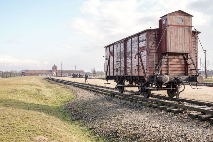 Auschwitz Ticket and Full-Day Tour from Krakow - Auschwitz II-Birkenau: Extermination Site, Headphones, and Hard Realities