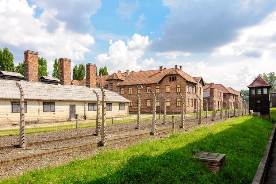 Auschwitz Ticket and Full-Day Tour from Krakow - Price and Value: What You Get for About $96
