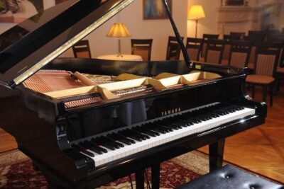 Chopin Piano Concert at Chopin Gallery with a Glass of Wine