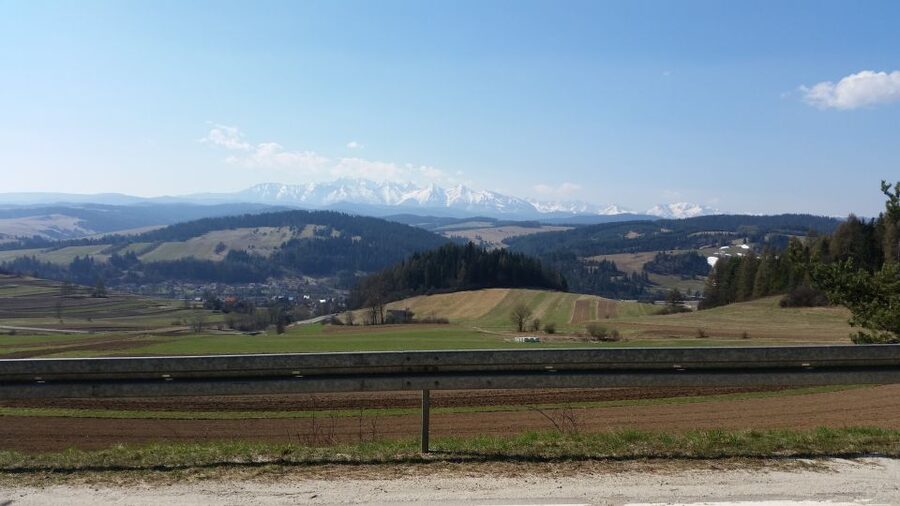 Dunajec River Gorge Rafting and Tree Top Walk from Krakow - Key highlights in plain terms