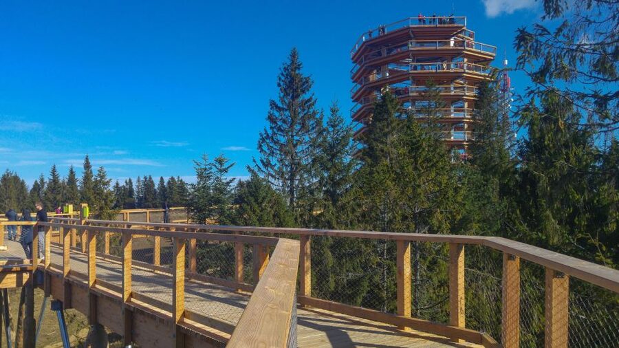 Dunajec River Gorge Rafting and Tree Top Walk from Krakow - Who this tour suits best, and who should think twice