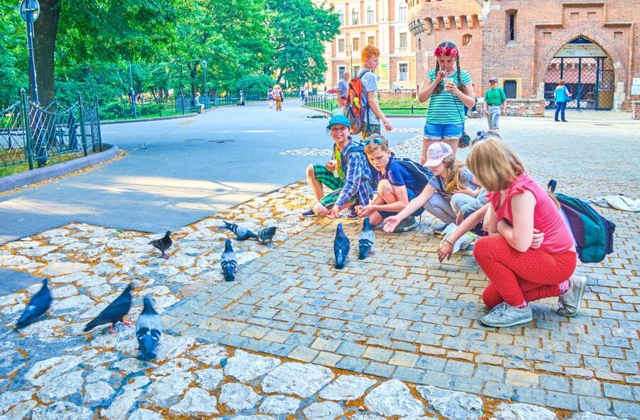 Family Tour of Krakow Old Town with Sweets Factory & Cruise - Key highlights that make this tour work for families