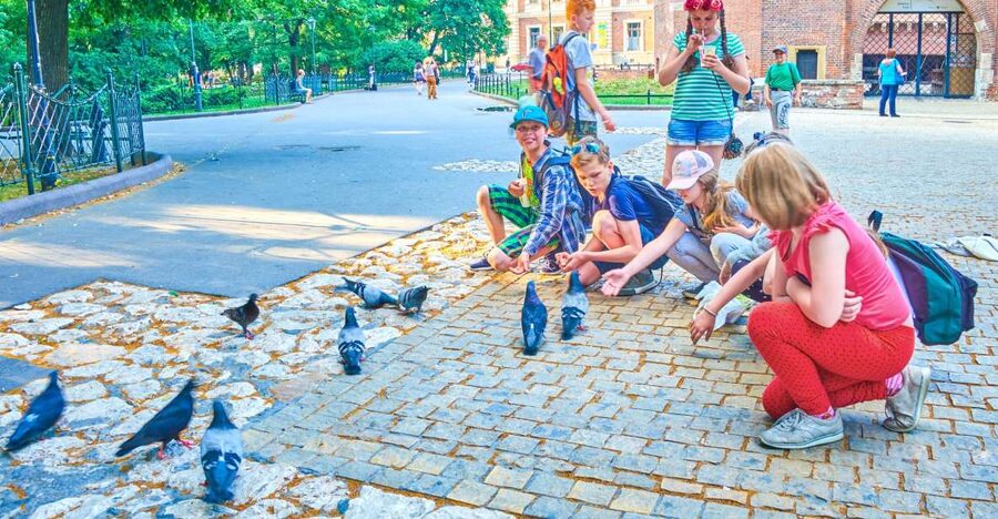 Family Tour of Krakow Old Town with Sweets Factory & Cruise - Start at the Barbakan, then walk Krakow’s Royal Route at a kid-friendly pace