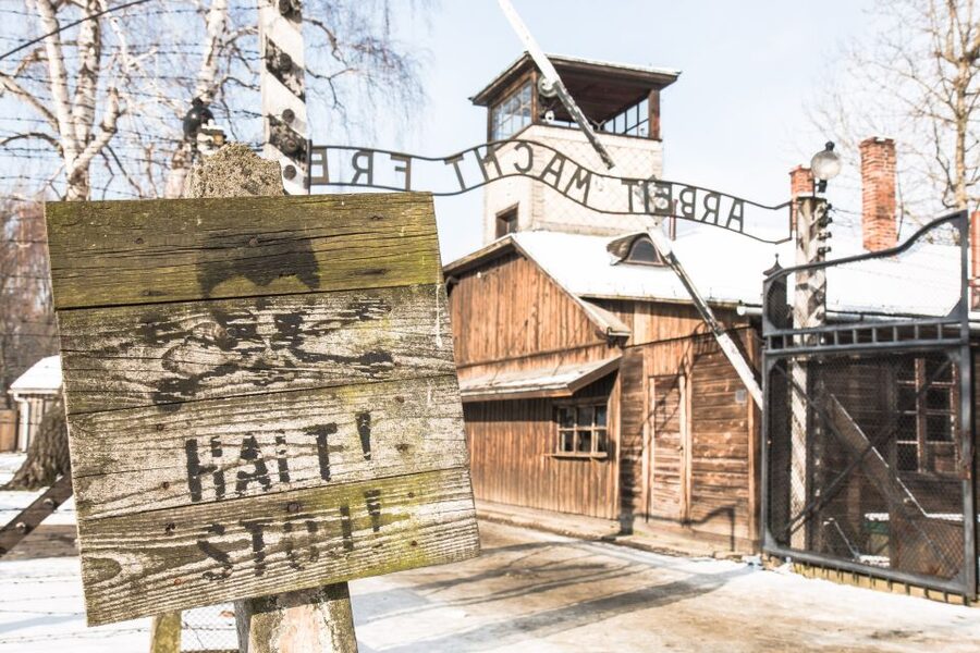 From Krakow: Auschwitz and Wieliczka Salt Mine Full-Day Trip - Who This Tour Suits Best (And Who Might Want a Different Plan)