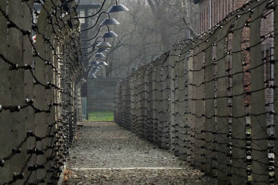 From Krakow: Auschwitz Birkenau and Salt Mine Guided Tour - Who This Tour Is For (and Who Should Skip It)