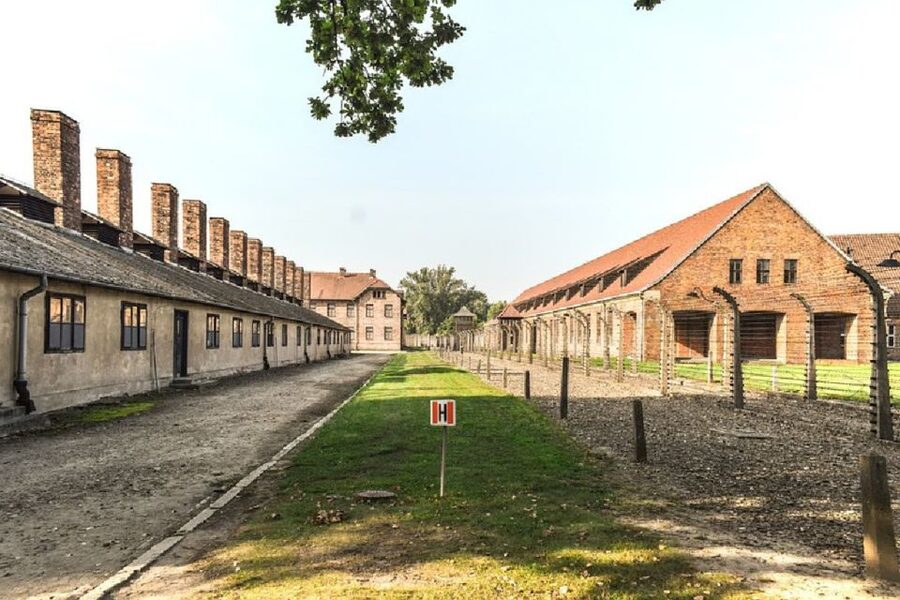 From Krakow: Auschwitz Birkenau and Salt Mine Guided Tour - A One-Day Double That Actually Works
