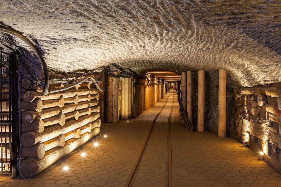 From Krakow: Auschwitz Birkenau and Salt Mine Guided Tour - Wieliczka Salt Mine: The Underground Visit You Actually Look Forward To