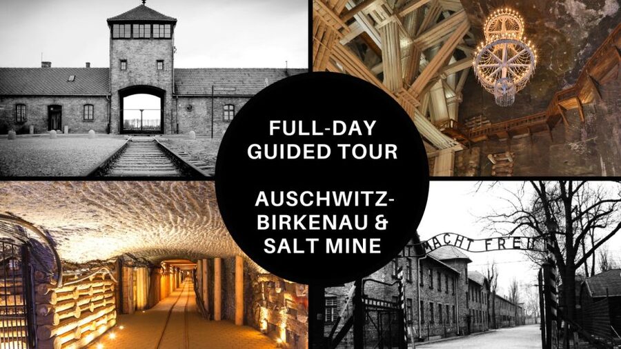 From Krakow: Auschwitz Birkenau and Salt Mine Guided Tour - Price and Time: What $120 Really Buys